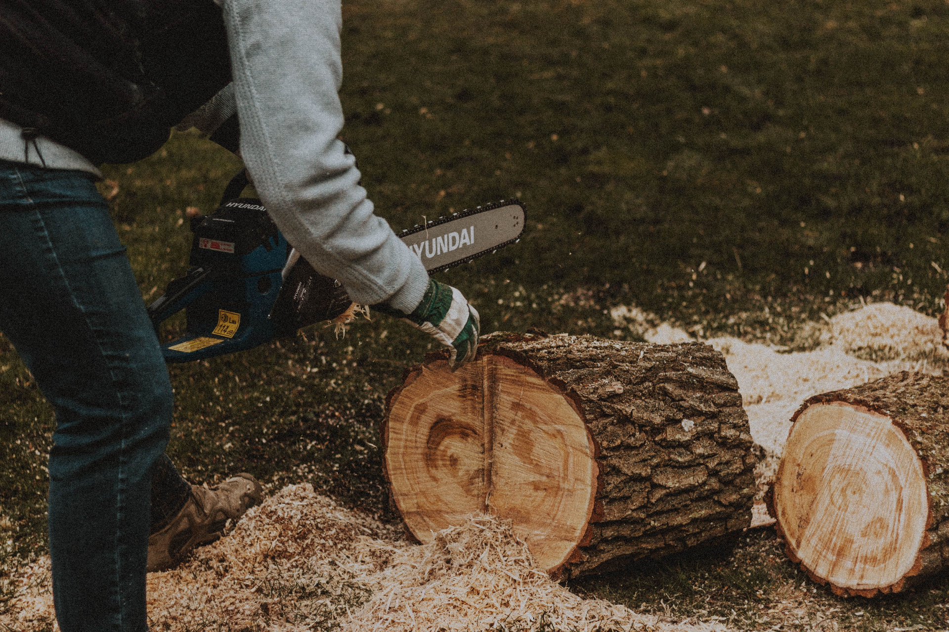 Stump Grinding project in South King County, WA by Cloudy Sky Tree Service